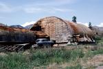 Charred Quonset Hut, burned out