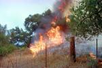 Malibu Fire, California, grass fire, wildfire, Wild land Fire