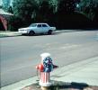 Patriotic Fire Hydrant