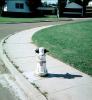 Snoopy Dog Fire Hydrant
