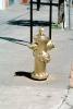 Golden Fire Hydrant, DAFV06P05_02