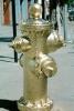 Golden Fire Hydrant, DAFV06P05_04