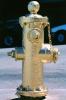 Golden Fire Hydrant, DAFV06P05_05