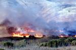 Wildfire, Firefighters, Firemen, San Bruno Mountain, DAFV06P05_08