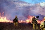 Wildfire, Firefighters, Firemen, San Bruno Mountain, DAFV06P05_15