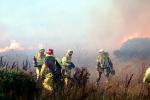 Wildfire, Firefighters, Firemen, San Bruno Mountain, DAFV06P05_19
