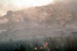 surreal landscape, smoke, wildland fire, San Bruno Mountain, DAFV06P07_13