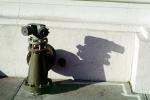 fire hydrant shadow, DAFV07P01_13