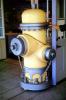 Fire Hydrant, DAFV08P07_18
