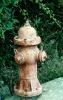 Rusty fire hydrant, DAFV08P14_03