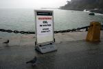 Hanjin, Cosco Busan Oil Spill, The Presidio Beach, DAOD01_003