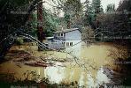 House, Flooding in Guerneville, 14 January 1995, DASV01P05_07