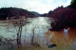 River, Flooding in Guerneville, 14 January 1995, DASV01P05_13