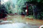 House, Flooding in Guerneville, 14 January 1995, DASV01P06_05