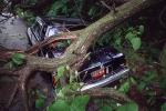 Fallen Tree, Cadillac, Crushed Car