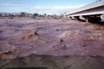 Flash Flood, Flashflood, Muddy Waters, June 1979