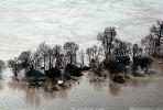 Flooded Home, House, Louisville, Kentucky, DASV02P14_07