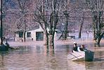 Flooded Home, House, Louisville, Kentucky, DASV02P15_03