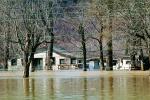 Flooded Home, House, Louisville, Kentucky, DASV02P15_07