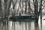 Flooded Home, House, Louisville, Kentucky, DASV03P01_02