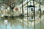 Flooded Home, House, Louisville, Kentucky, DASV03P01_13