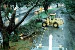 Felled Trees, Cherrypicker Truck, lift, road, street, rainy, rain, wet, DASV05P13_11