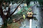 Felled Trees, Cherrypicker Truck, lift, road, street, rainy, rain, wet