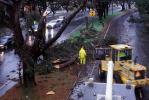 Felled Trees, Cherrypicker Truck, lift, road, street, rainy, rain, wet, DASV05P13_15