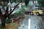 Felled Trees, Cherrypicker Truck, lift, road, street, rainy, rain, wet, DASV05P13_18