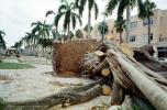 downed tree, felled, roots, buildings, Hurricane Francis, 2004, DASV06P11_03