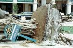 downed trees, felled, buildings, roots, Mizner park, Hurricane Francis, 2004, DASV06P12_03