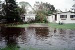 downed trees, flooding, flood, buildings, roots, home, house, Hurricane Francis, 2004, DASV06P12_08