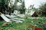 downed trees, building, trailer homes, Hurricane Francis, 2004