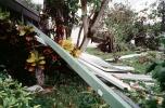 detritus, rubble, trees, building, house, homes, Hurricane Francis, 2004, DASV06P12_19