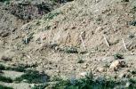 Landslide, La Conchita Geologic Hazard Area, Mud Slide, Ventura County, California, DASV06P14_05
