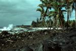 Lava Flow at the Ocean, Palm Trees, DAVV01P01_05