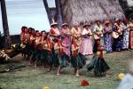Dancers, Guitar Players, Women, grass skirts, lei, Ethnic Costume, natives, Hula, Hawaiian, March 1964, 1960s, EDAV03P10_06