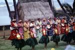 Dancers, Guitar Players, Women, grass skirts, lei, Ethnic Costume, natives, Hula, Hawaiian, March 1964, 1960s, EDAV03P10_07