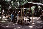 Tambia Village, Guadalcanal, Solomon Islands, March 1988, 1980s, EDAV03P12_01