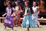 Hawaiian, Hawaii, Hula, ethnic costume, native, EDAV04P06_02