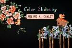 Color Slides by, Arline K. Cawley, bird, birdcage, flowers, cute