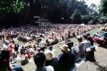 Music in the Park, Orchestra