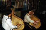 Bandura, the Ukrainian lute-zither, String Instrumen, Playing Music, Kiev, Ukraine, EMAV02P03_19