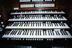 Pipe Organ, Lute Stops, keyboard