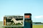 White Horse Scotch, BM&T Paper, billboard