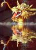 Golden Dragon reflecting in the Water, Teeth, Tongue, Face
