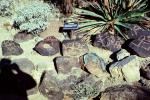 Arizona Rock Petroglyphs, EPHV01P01_16