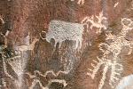 Buffalo Petroglyph