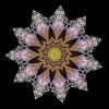 Purple Center Flower Mandala, pattern, Dreamcatcher, EPMD01_054