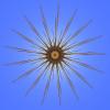 Radiolaria, Radiozoa, protozoa, center circle, spikes, EPMD01_066